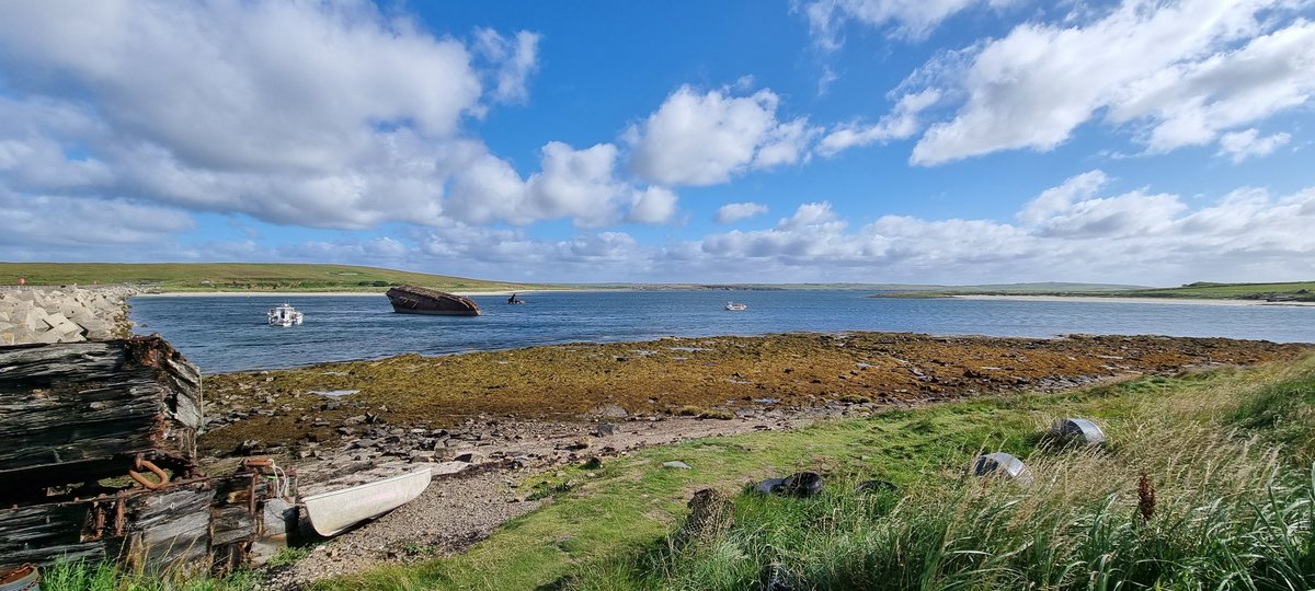 Saz Reed tweet media