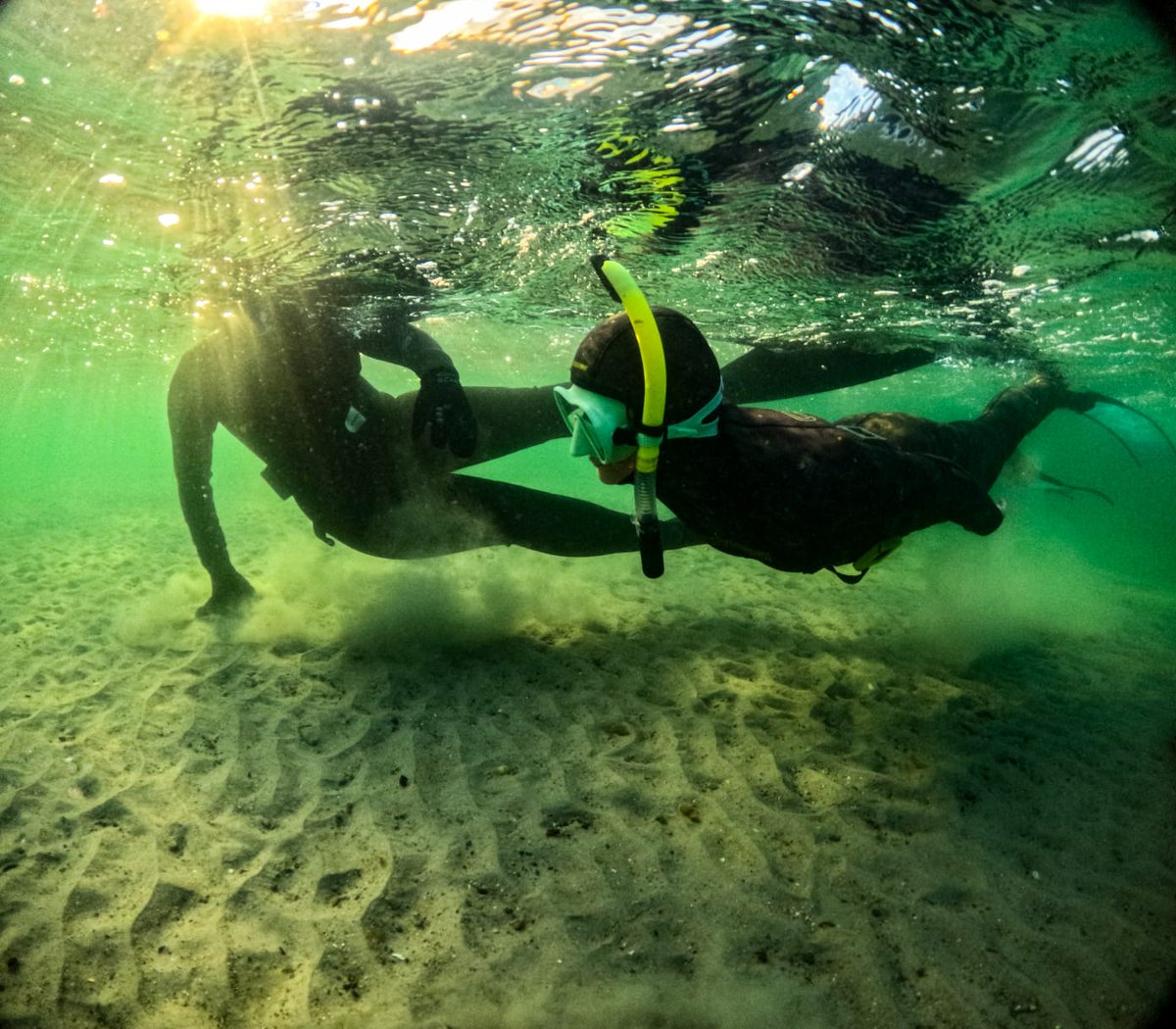 Saz Reed tweet media