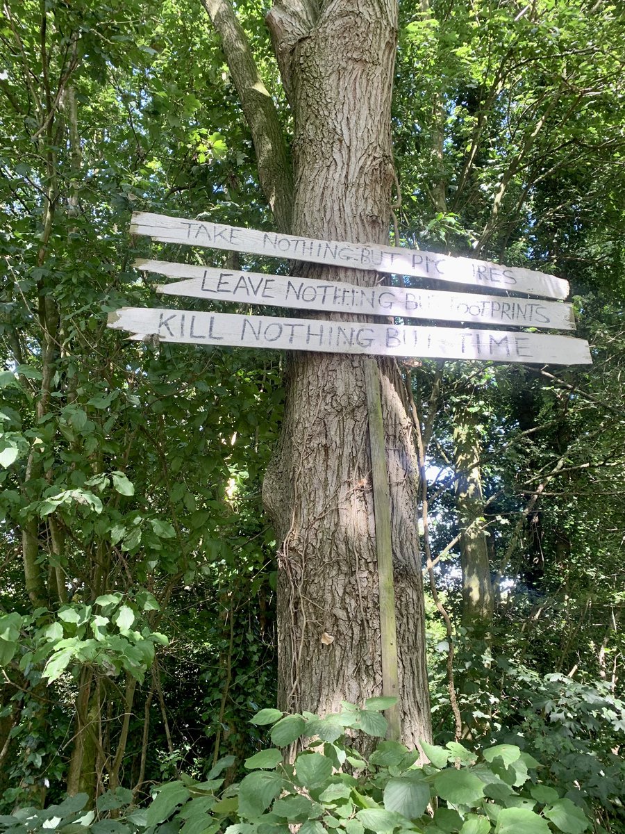 lisastallingsc1's tweet image. Saw this at the start of my walk today and it’s so true. #pinmill #walkinnature