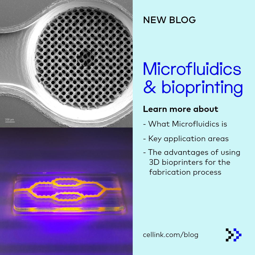 CELLINK3D's tweet photo. We just published a new article exploring the fascinating world where microfluidics meets 3D bioprinting! 🧪🖨️
Read more here: https://t.co/cl0db6aP29
#3Dbioprinting #bioprinting #tissueengineering #microfluidic #organonachip #CELLINK https://t.co/Rx8YxoIuob