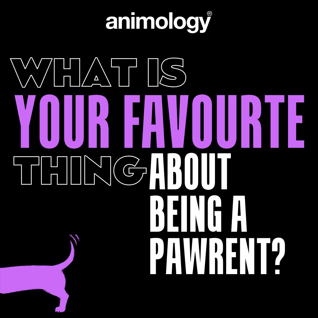 From the kisses and tail wags to the unconditional love, there’s a lot to love about being a pawrent…

What is your favourite thing?