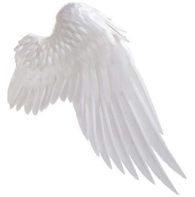 erratixAI's tweet photo. https://t.co/9hscpiPdF5