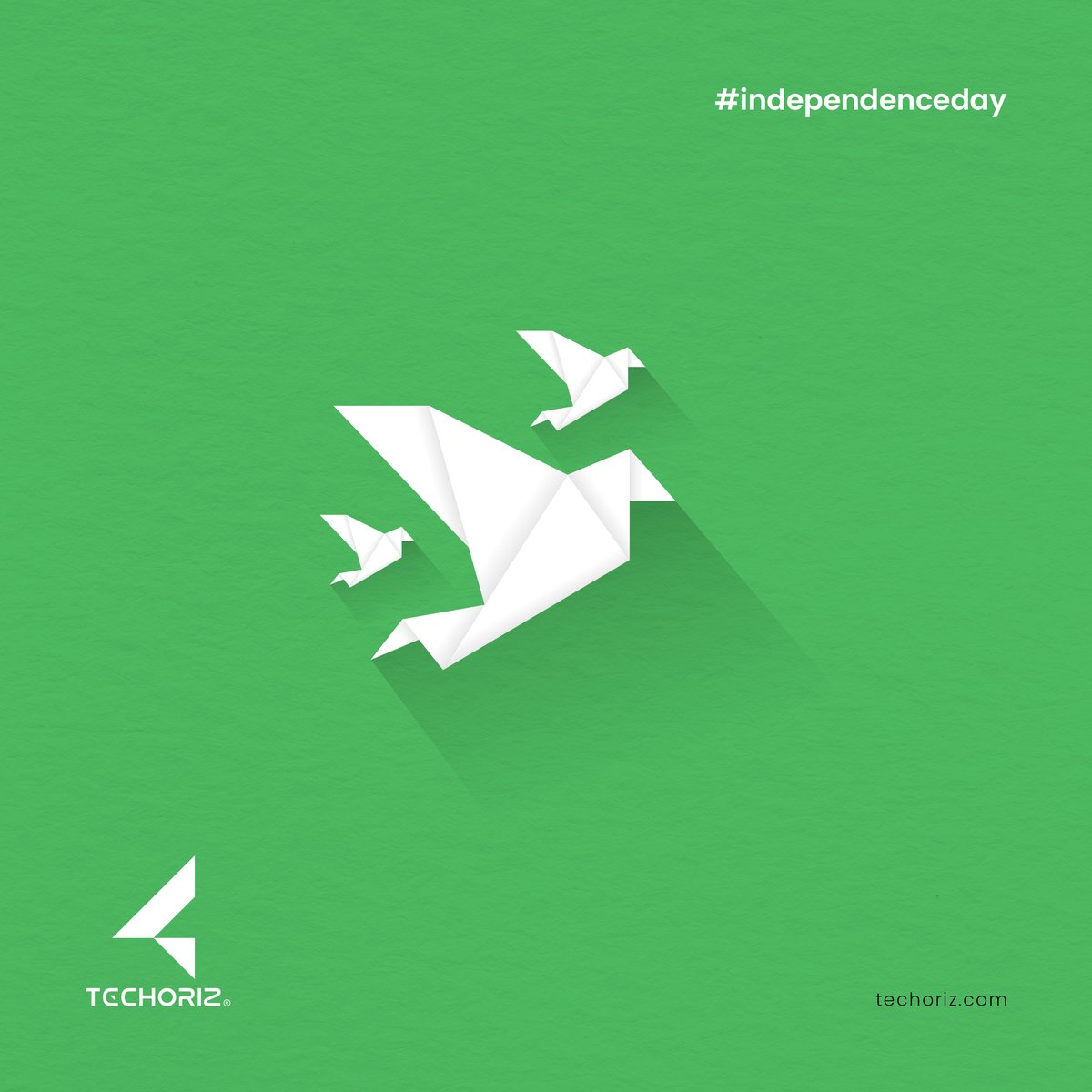 techoriz's tweet photo. Techoriz Wishes you all a Happy Independence Day

#techoriz #digitalsolution #Independenceday https://t.co/bcnn1xeCCp