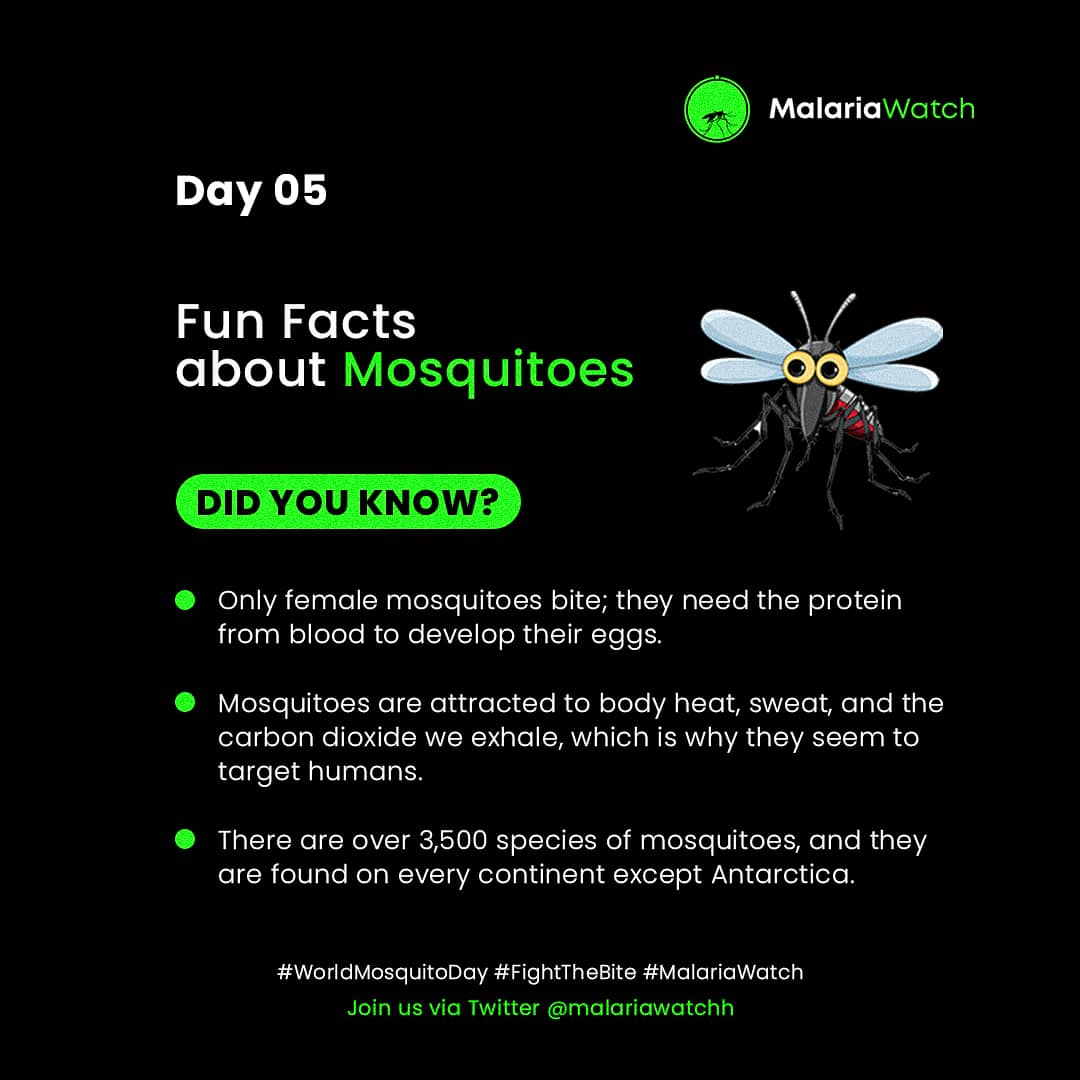 nagoAct's tweet photo. #WorldMosquitoDay
#FightTheBite
#MalariaWatch https://t.co/shq4P7MBCB