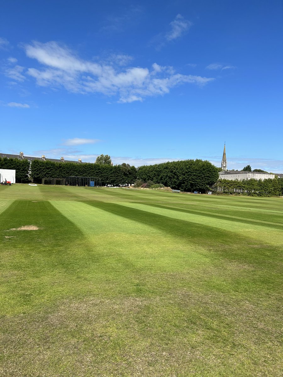 ManVGrass's tweet image. Stripe update. 9 game days to go… ☀️