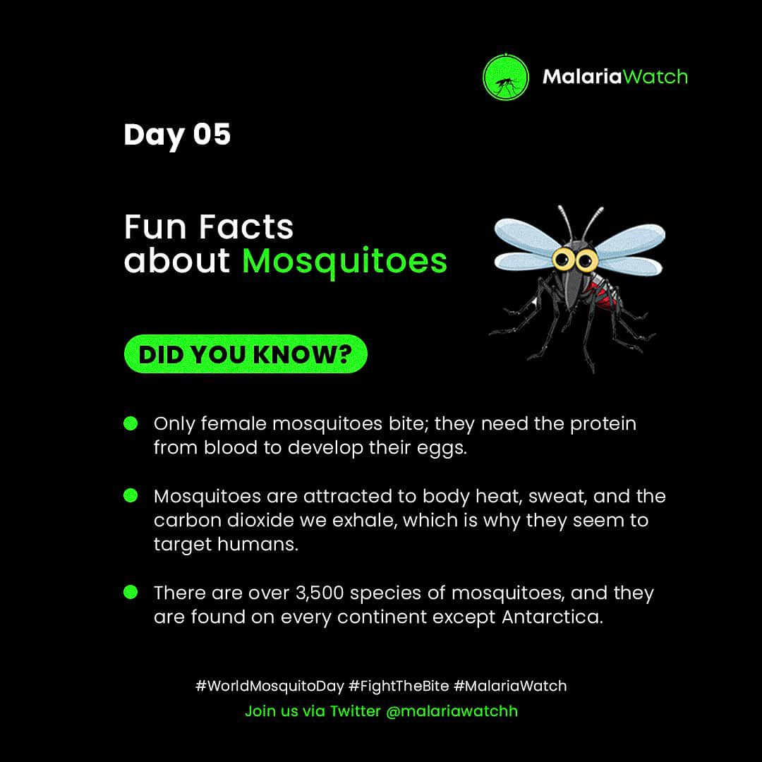 malariawatchh's tweet photo. Day 05
#WorldMosquitoDay
#FightTheBite
#MalariaWatch https://t.co/Ej8ku4ZsG3