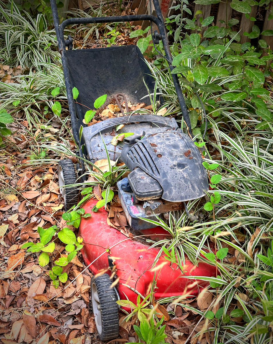 SSimonJacob's tweet image. I fought the lawn, but the lawn won…🎶