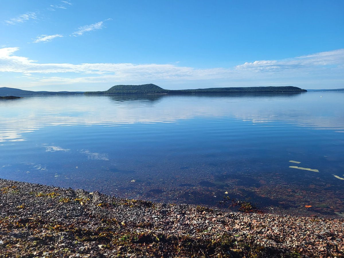 johnjackraymond's tweet photo. @EddieSheerr nice Morning in Philip's Head https://t.co/dHxOI76t8J