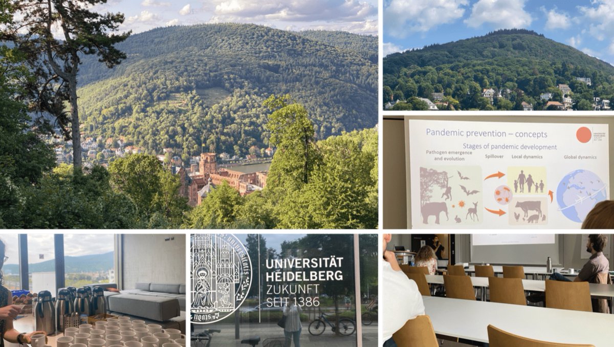 Take a break with the #IRDR blog, and enjoy the uplifting account of <a href="/UCL_dPHE/">UCL Centre for Digital Public Health in Emergency</a> PhD candidate Aisha Aldosery's journey of intellectual growth and cross-cultural exchange at this year's LERU summer school <a href="/LERUnews/">LERU</a>, hosted by <a href="/UniHeidelberg/">Uni Heidelberg</a> in Germany.

📝 blogs.ucl.ac.uk/irdr/2023/07/2…