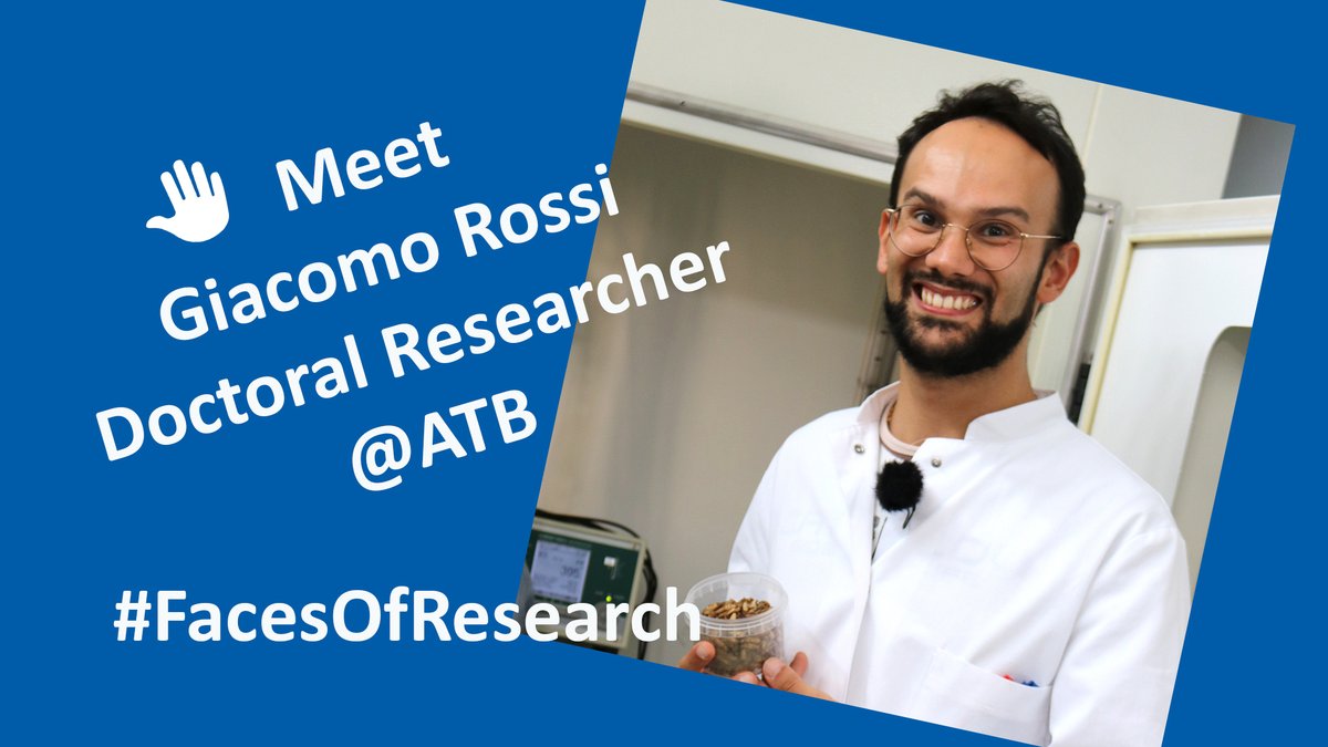 Meet Giacomo Rossi, doctoral researcher at ATB, in our new #FacesOfResearch episode. Giacomo researches edible insects in a 360° approach.

🎬 youtu.be/2e3i-pd7SkU