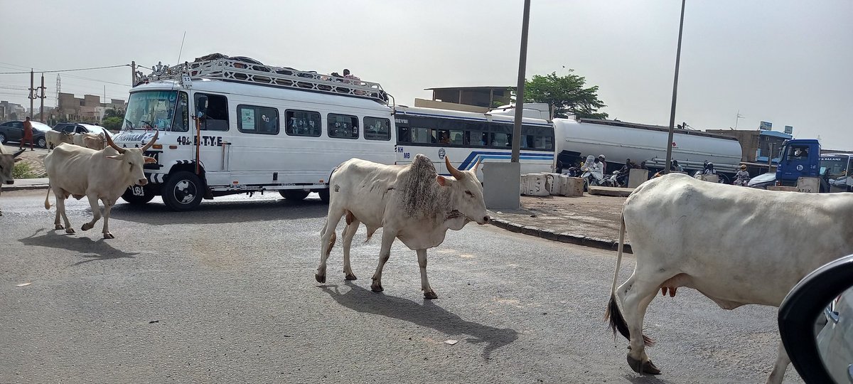 La tolérance et le respect de l'autre sont les gages d'un bon-vivre ensemble renforcé.