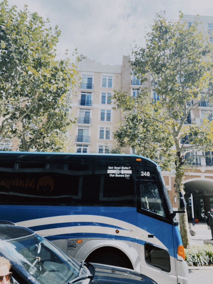 M S. V A L E N T I N E tweet media