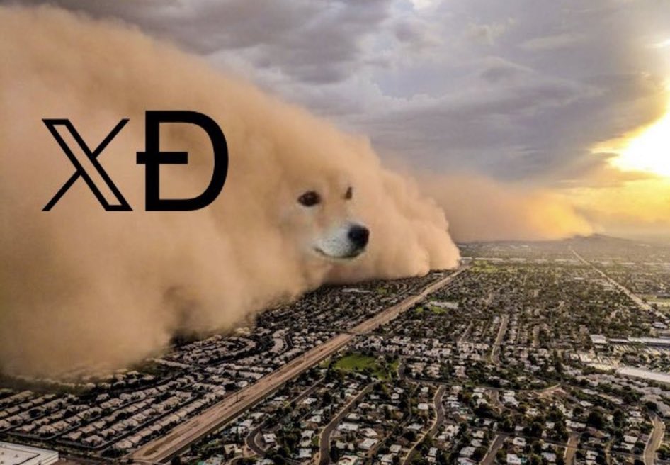 Investments_CEO's tweet photo. Like this post if you want Elon Musk to add #Dogecoin payments to 𝕏. https://t.co/5ADMSvsmh5