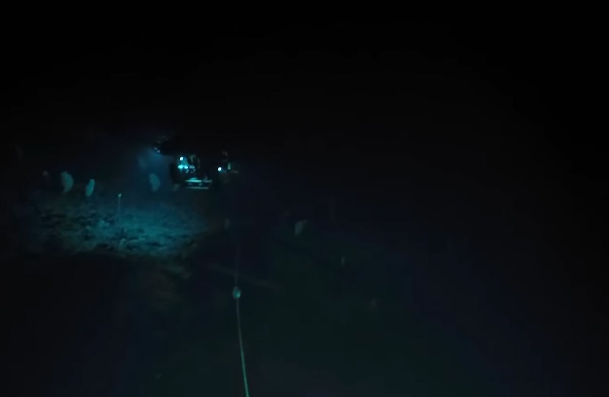 oceanexplorer's tweet image. Happening now: LIVE @EVNautilus dive on a seamount at the southwestern limit of the Johnston Atoll Unit of the Pacific Remote Islands Marine National Monument. Tune in as they explore at a depth of ~1,940 meters (6,365 feet): nautiluslive.org