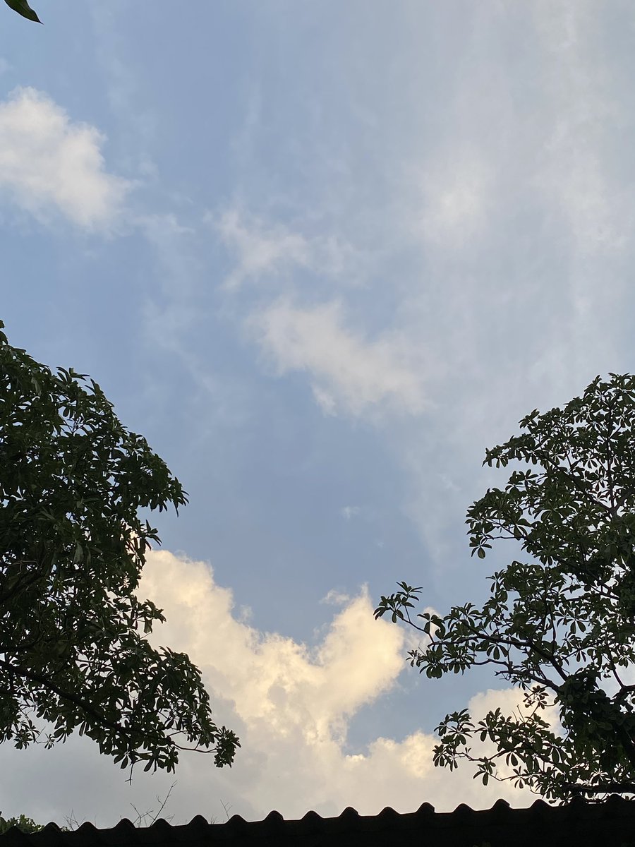 นอฟอ tweet media