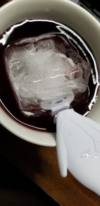 浸されるコオリッポ