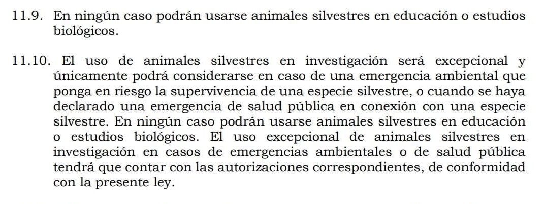 Catalina La O. 💚🍉 tweet media