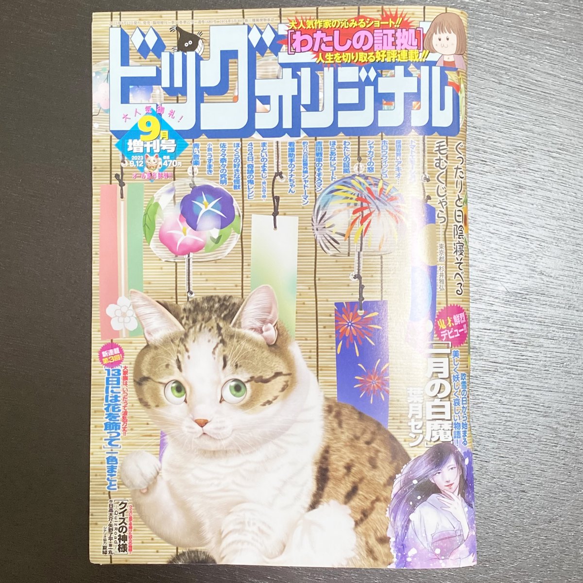 発売されたビッグコミックオリジナル9月増刊号に「佐々々奈々の究明」最新話が掲載されています。コンビニ、書店さんでどうぞよろしくお願いします。リンクから何話か無料で読めますのでそちらもどうぞ。次回、最終回!!  