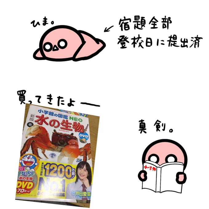 チビさんが暇そうだったので図鑑買ってきました。夢中で読んでる。ありがとう小学館。