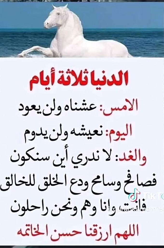 ابو فيصل السريحي السلمي (@ateeg1376) on Twitter photo 