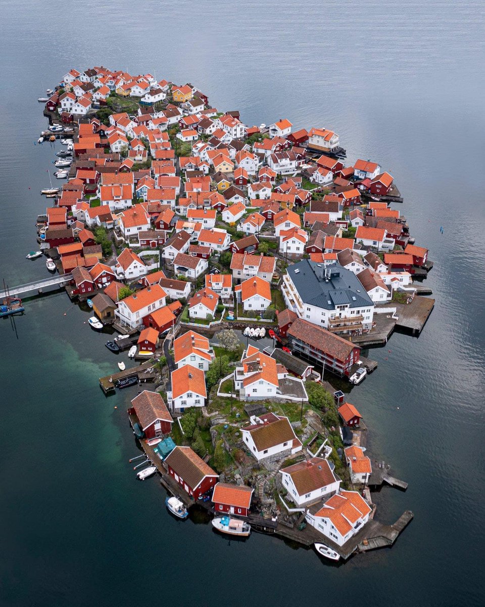 elias nilsson tweet media