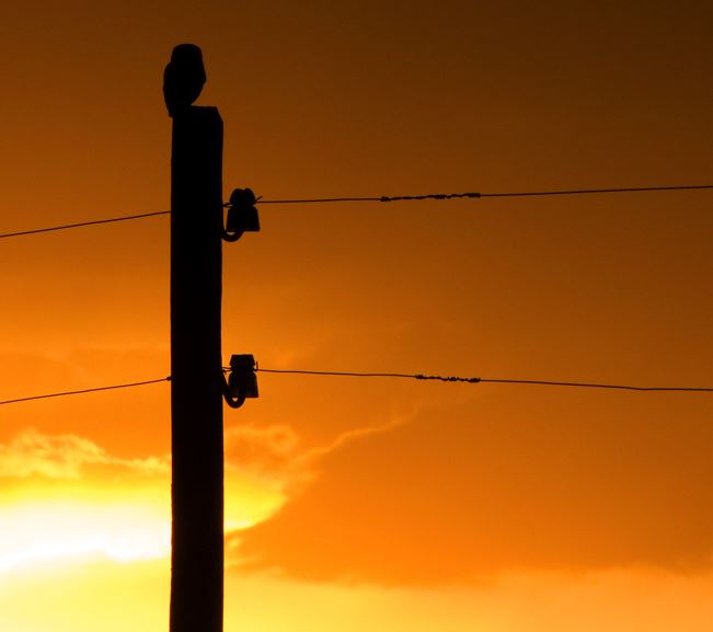 CNMC_ES's tweet photo. Los #postes telefónicos de madera son un elemento clásico del paisaje español. Ahora, después de más de 150 años, les ha llegado la hora de modernizarse.

✍ Te lo contamos en #CNMCBlog: https://t.co/3YpAKKvQ9x https://t.co/uoQltOCczV