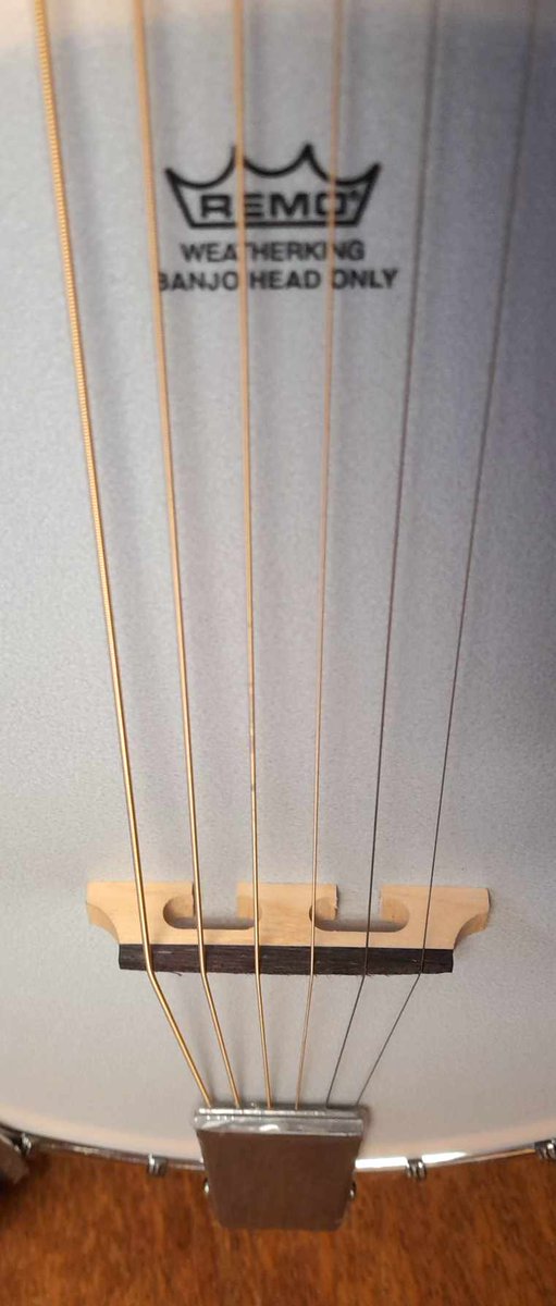 BoothsMusic's tweet photo. A very lucky customer has ordered in this @TanglewoodUK six string banjo. #banjo #6stringbanjo #guitarbanjo #musicshop #guitarshop #music #bolton #est1832 https://t.co/HsZ2cleUF4
