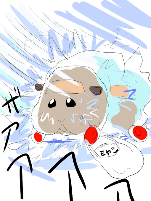 台風の日はモルカーをしまいなさい。さもなくば。