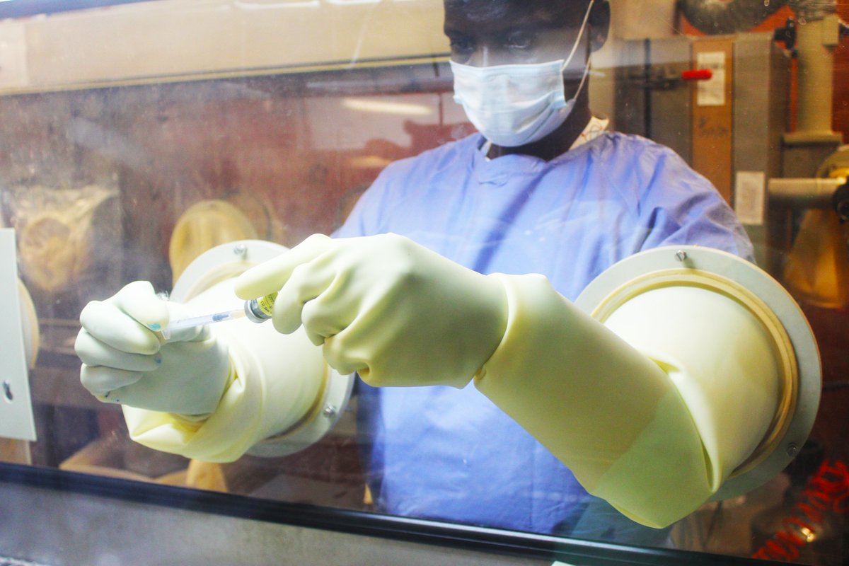LIDISKI1's tweet photo. All year round, incessant outbreaks of Newcastle disease (ND) in poultry occur across Nigeria, resulting in huge economic losses. To identify the best vaccination strategy, the efficacy of the ND vaccines currently produced were tested. 
#vaccines #animalhealth #diseaseprevention https://t.co/vZDC1vwgK7
