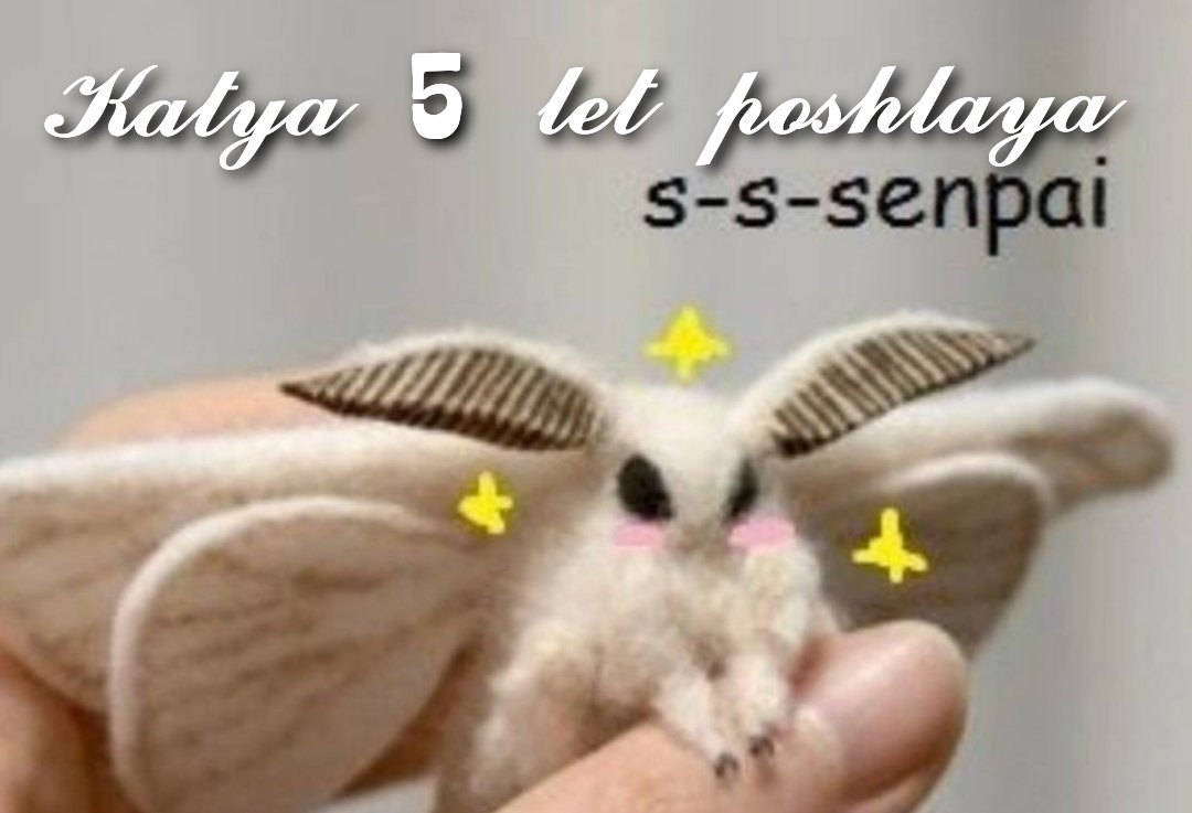 ✨🐺крякнутый волчонок🐺✨ tweet media