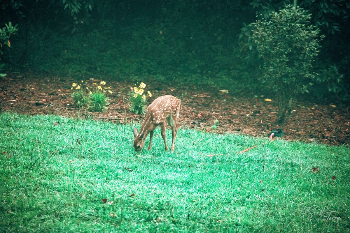 Some recent visitors...