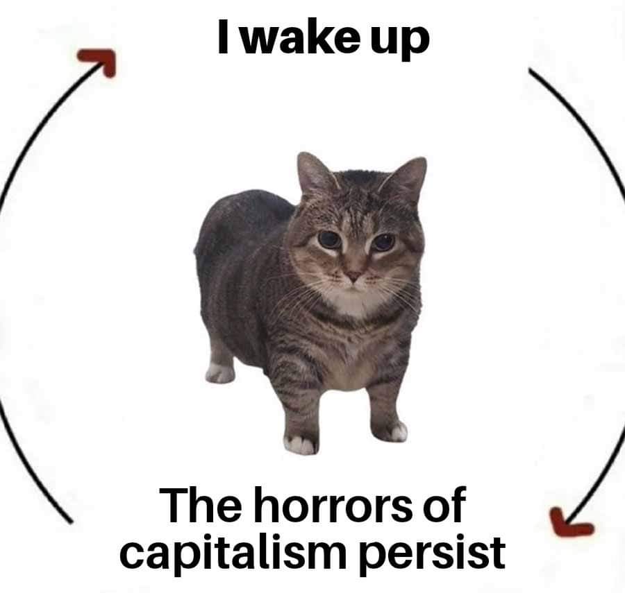 strike_dr's tweet photo. https://t.co/q6EohQLUDK