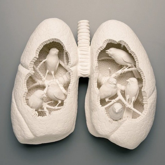 #WOMENSART tweet media