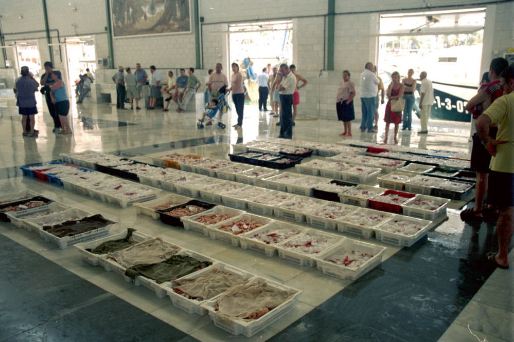 🌊La aparición de las nuevas tecnologías ha revolucionado el mundo de las compras. Esto también repercute en la lonja. Por ejemplo: a través de la venta online desde la lonja se vende el producto (como las gambas) por unidades y no por kilo.

<a href="/P_Recuperacion/">Plan de Recuperación</a>

#PescaAzul