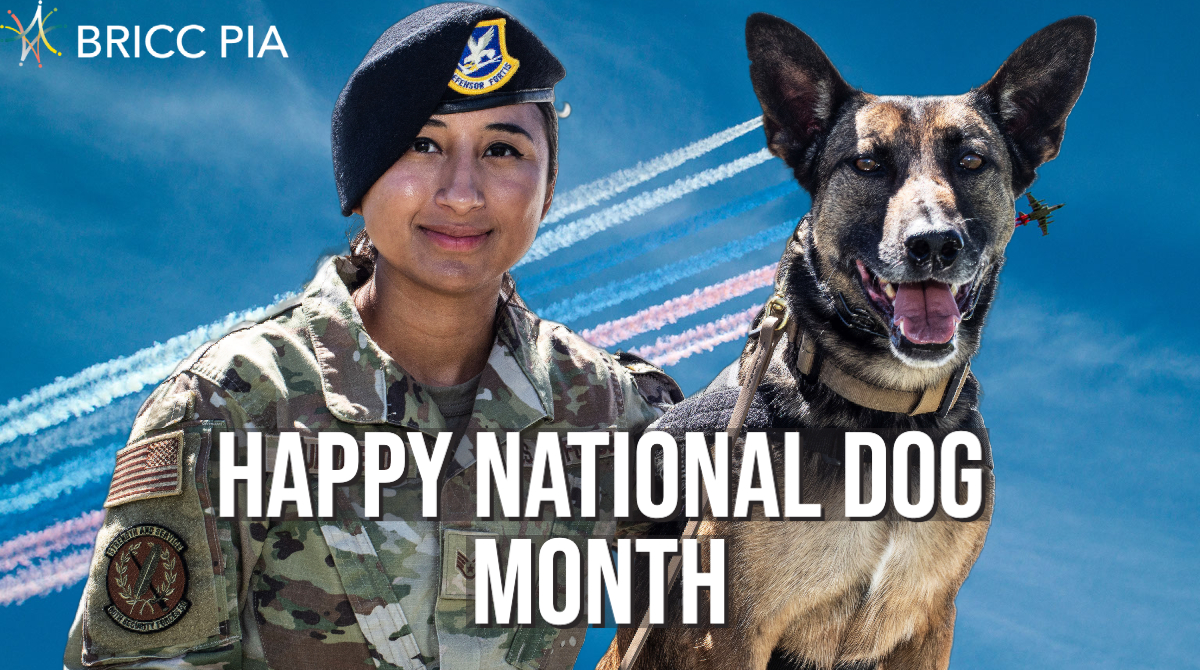 Saluting our military K-9 heroes this National Dog Month! 🇺🇸❤️ Your loyalty and dedication inspire us all. Let's give a big paws up to these furry champions who serve alongside our brave servicemen and women! 🐕🎖️ #NationalDogMonth #K9Heroes #SaluteToService