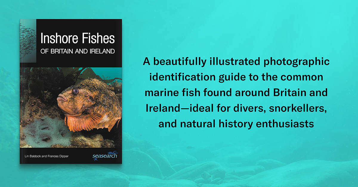 Princeton Nature tweet media