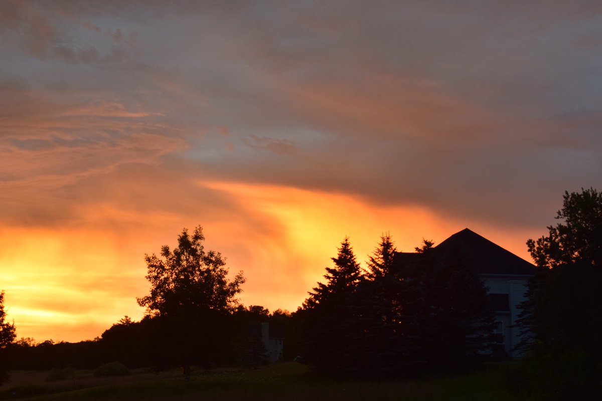 bonesfalster's tweet image. Good morning #fiveoneeight