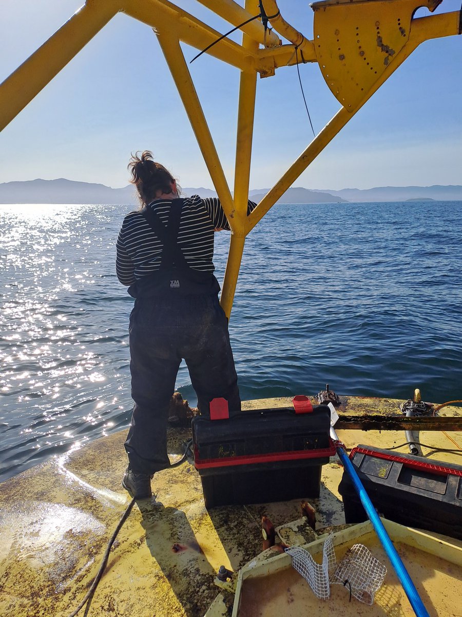 Seguimos traballando na nosa Rede de plataformas Fixas do #ObservatorioCosterioXunta para quen poda requerir esta información.
Podedes consultar os datos observacionáis, prediccións e servizos desenvolvidos na web observatoriocosteiro.gal/es