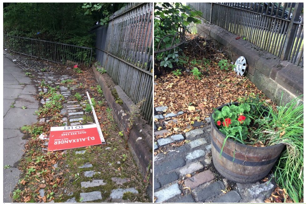 Roberts54 tweet media