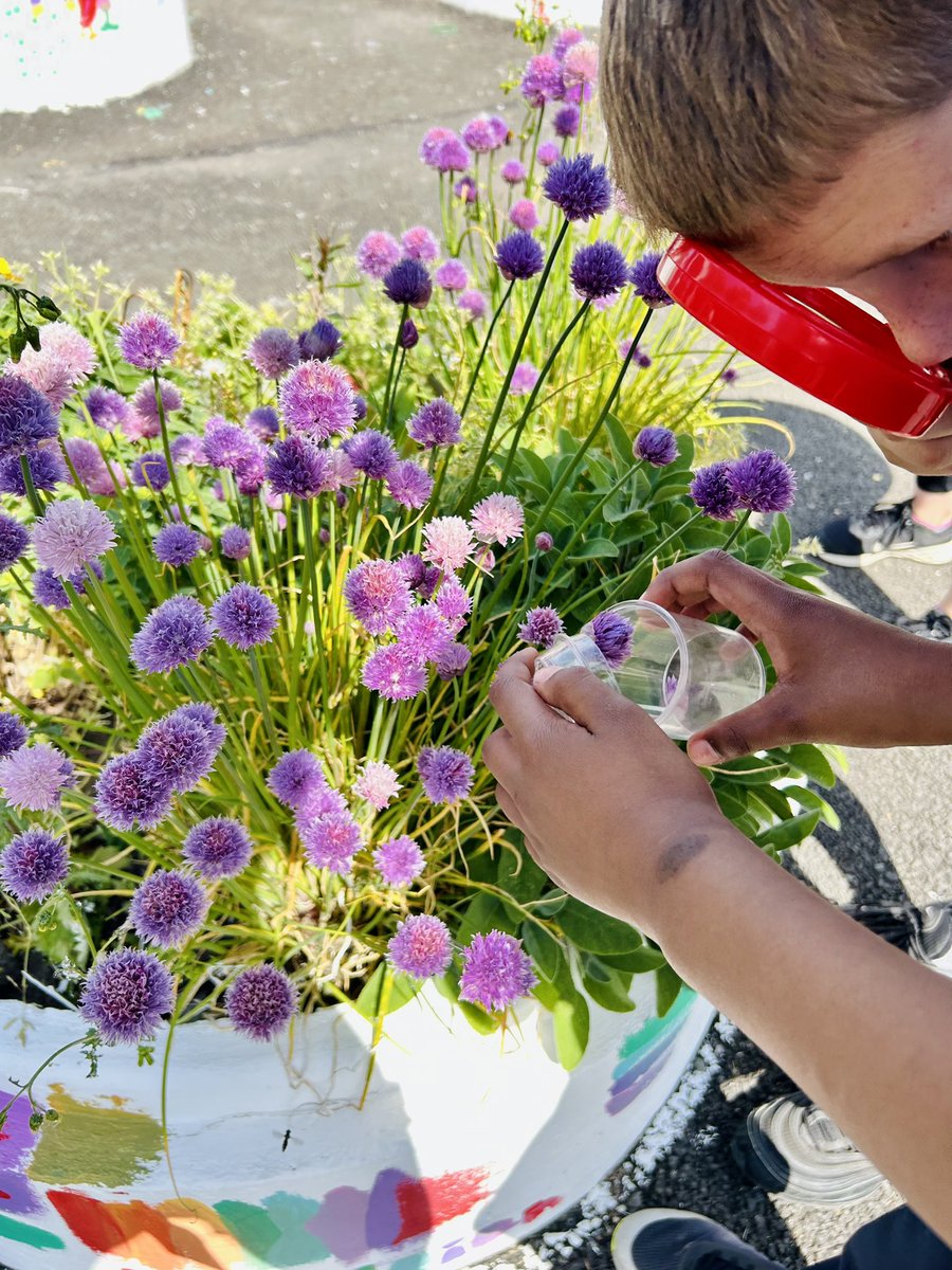 Jennifer Miller tweet media