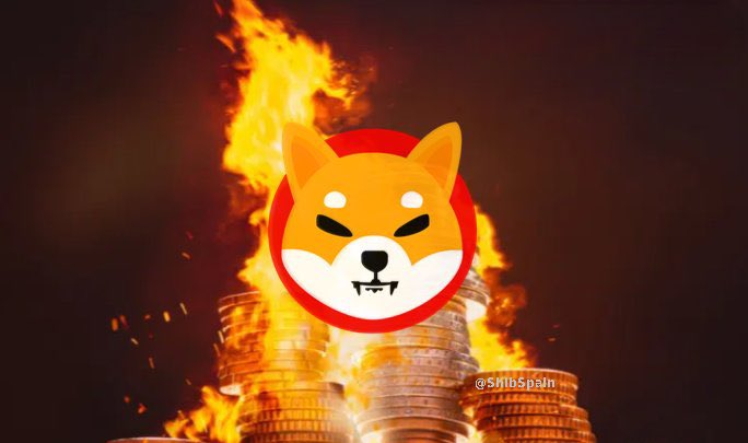 SHIB POSSESSOR tweet media