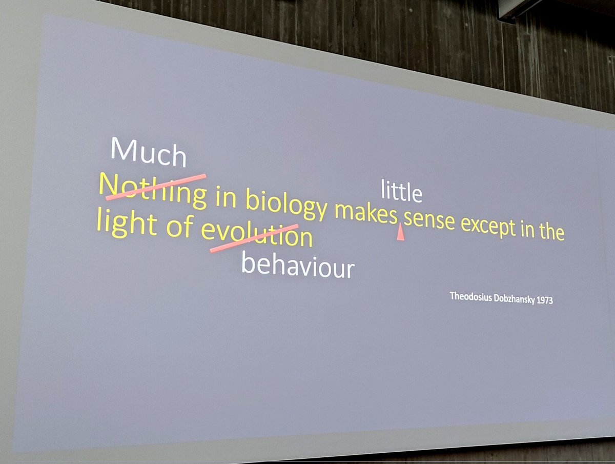 Devi Stuart-Fox tells us why she continues to work on behaviour despite the fact that it is "really hard" #Behaviour2023