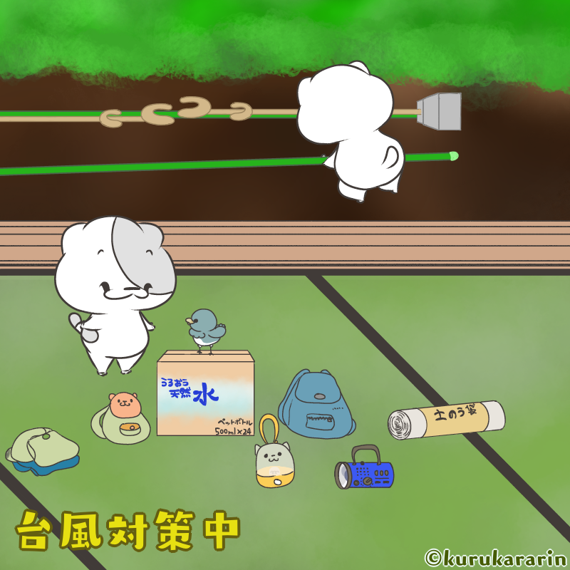 台風対策🌀
皆さんの地域も被害が出ませんように
安全な場所でお過ごしくださいね🏠
#イラスト #台風 #台風対策 #猫イラスト