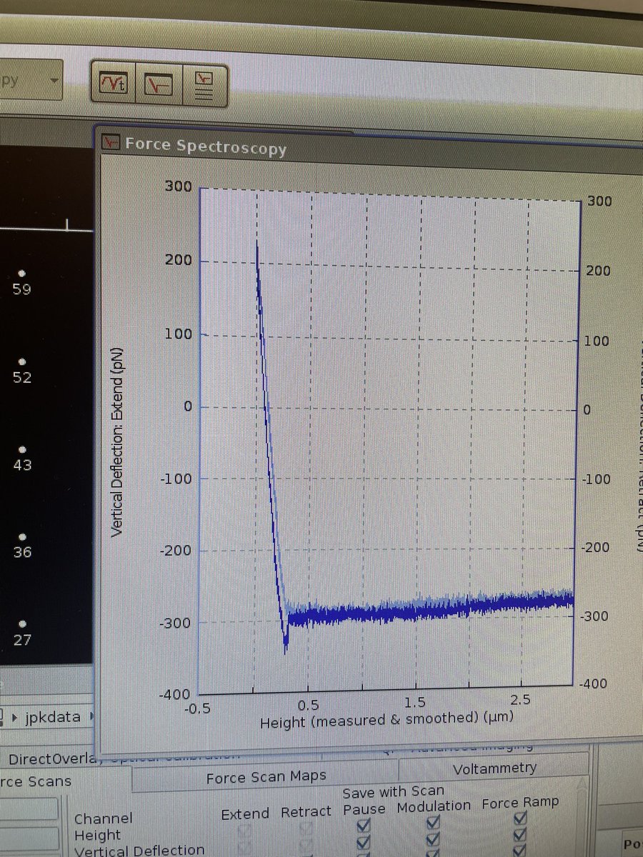 rachellawson954's tweet image. I’m not sure who blessed my cell AFM data today, but I am extremely grateful 🥹🙏 

#AtomicForceMicroscopy #cellbiology #biomechanics