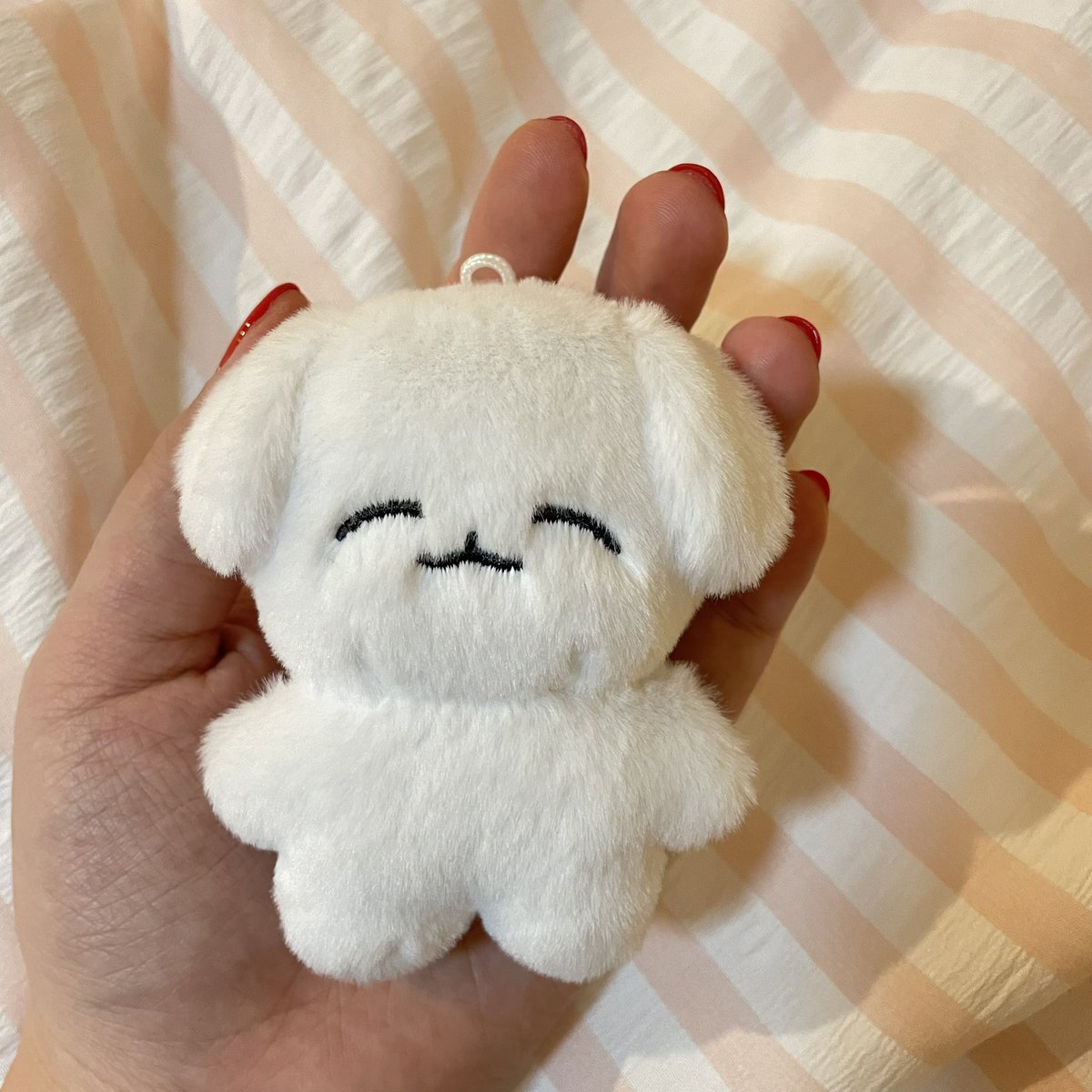 ตุ๊กตา #YoitJen พร้อมส่ง มี20ตัว🐶

📍ลงขายวันที่ 18/08 เวลา 22:00

❕กติกา ❕
เมนชั่นจำนวนใต้ทวิตที่ลงขาย
 **จำกัดจำนวนซื้อได้สูงสุด2ตัว/แอค**

#ตลาดนัดnct #ตลาดนัดnctdream #ตลาดนัดอซท #ตุ๊กตาเจโน่ #ตุ๊กตาnct