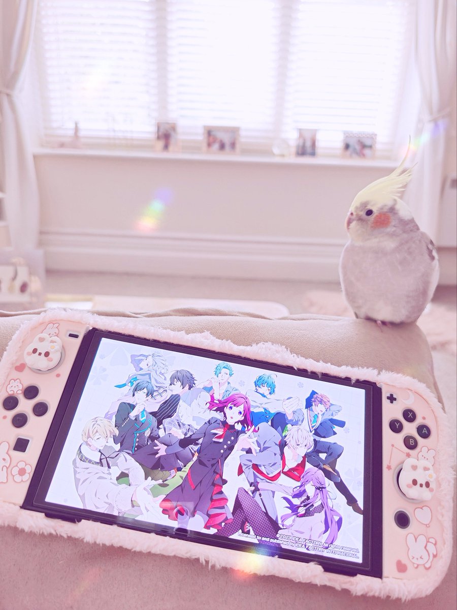 LadySakuraDoll's tweet photo. Gaming with my birb🤍
#otome #gaming #gamergirl #NintendoSwitch #otometwt #birb #cockateil https://t.co/asX7IewAIW