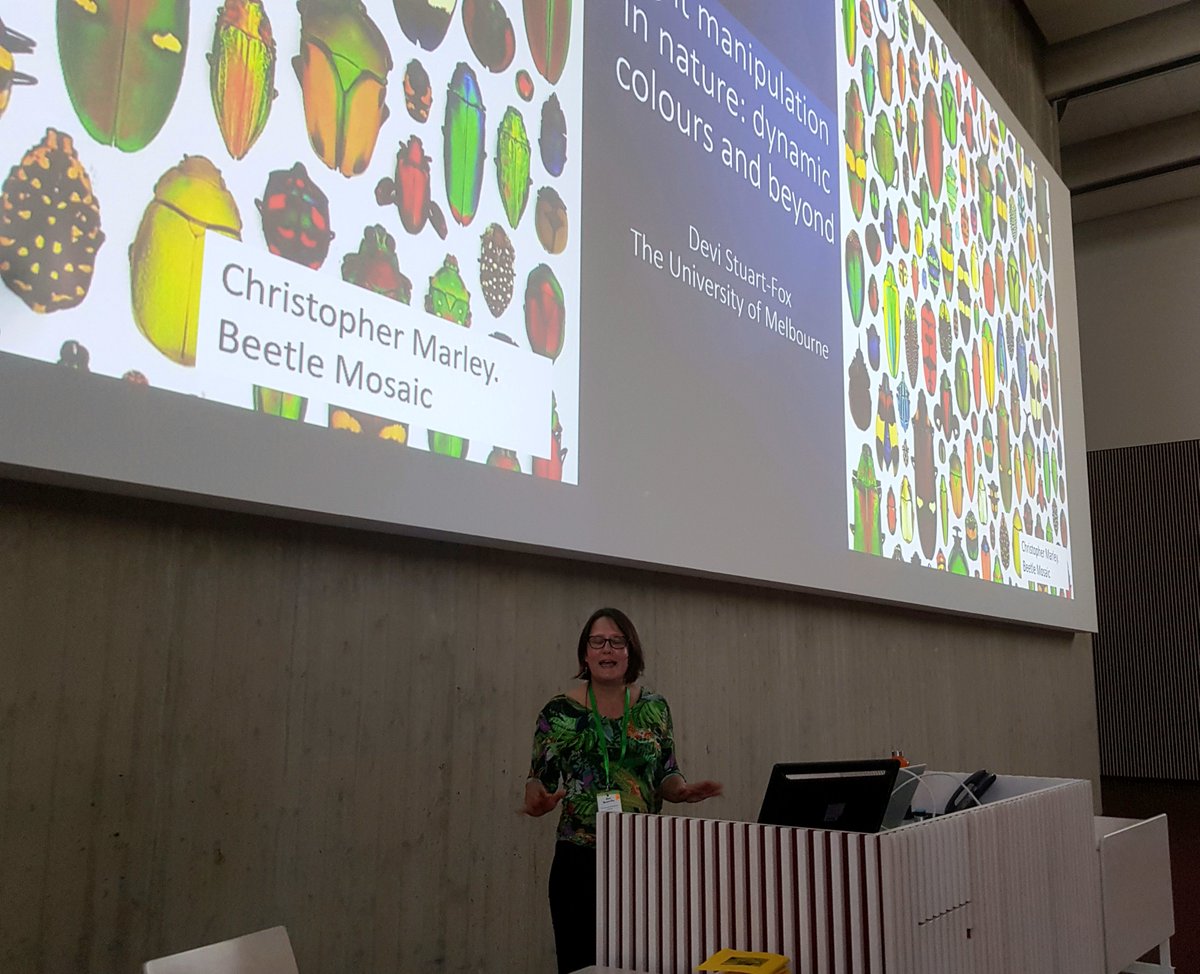 A brilliant and colourful plenary talk by Devi Stuart-Fox 🦋#Behaviour2023