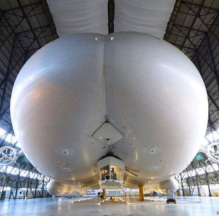 Peregrine Andrews tweet media