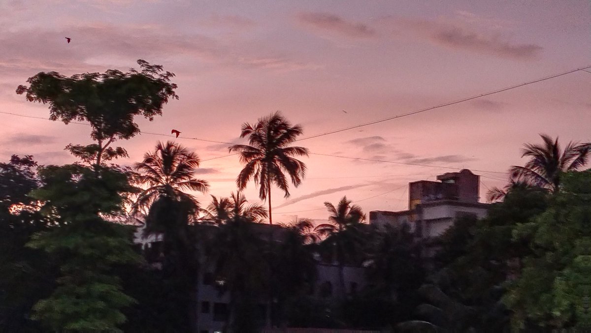 Directionertil8's tweet photo. A Picturesque Sky filled with Wonders and Dreams #TimesColourSnap https://t.co/zjhjwKtcVt