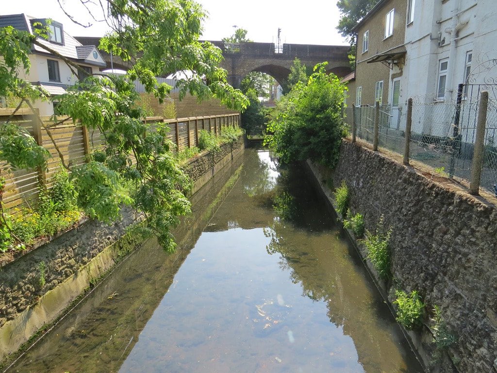 Henley Mermaids tweet media